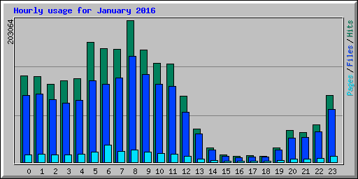 Hourly usage for January 2016